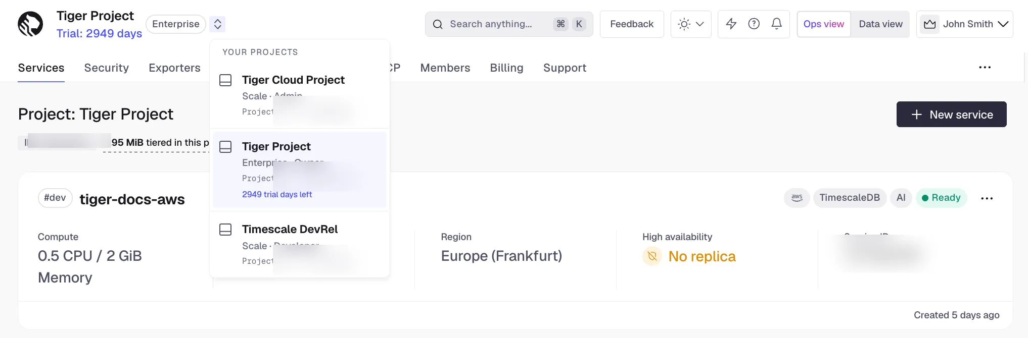 Retrieving the project ID in Tiger Console